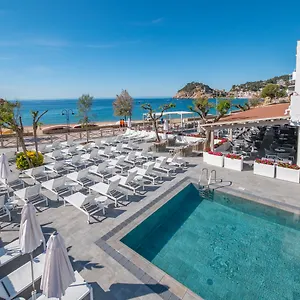 book here