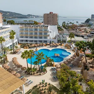 book here